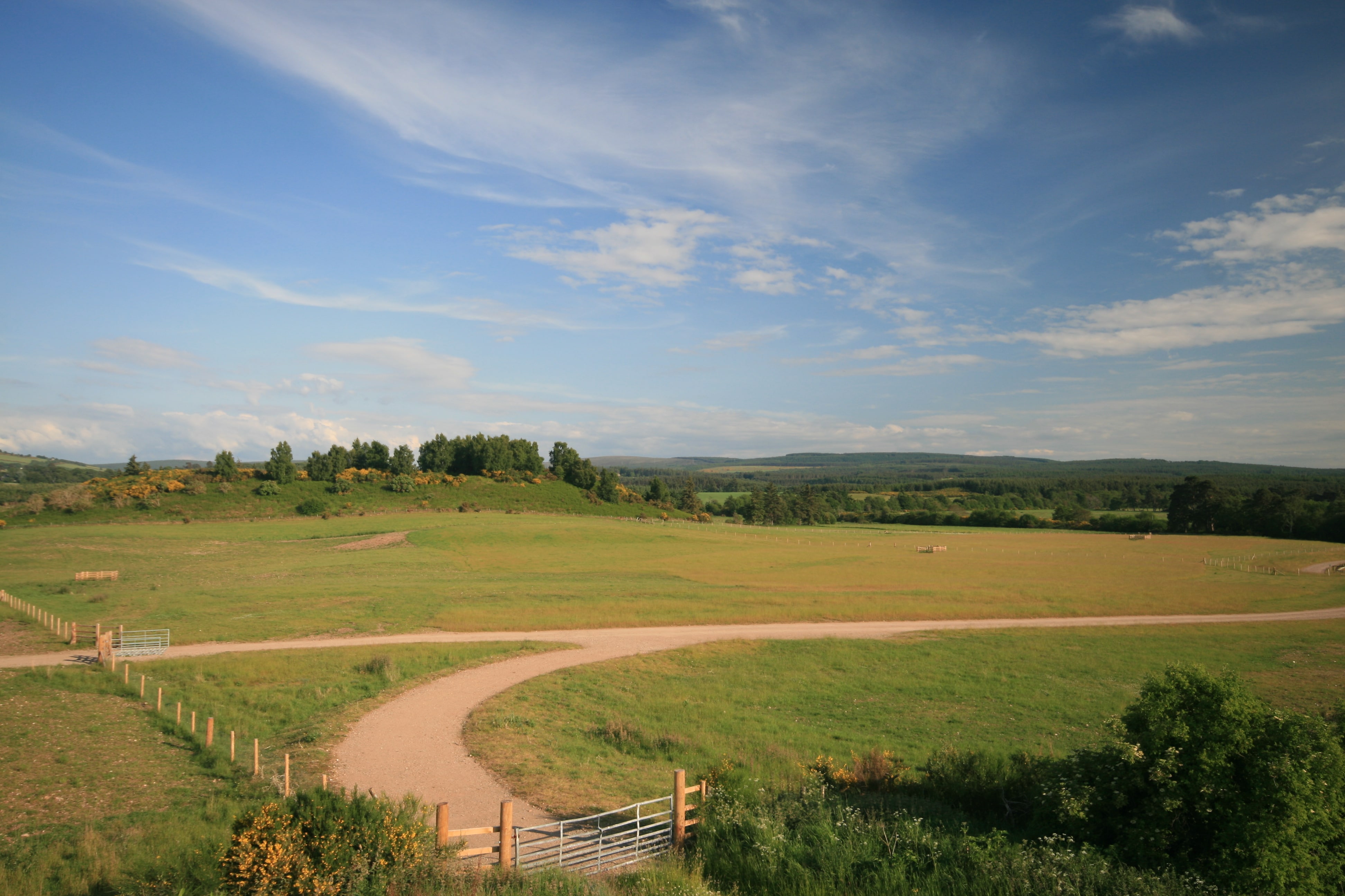 tulloch of cummingston